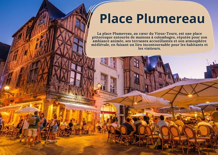 L'anatole / Bords De Loire Апартаменты *